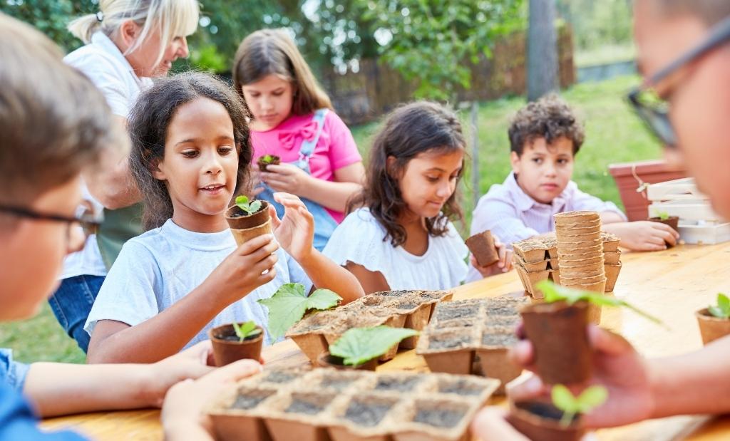 estudantes cuidando de horta escolar em atividade de educação ambiental.